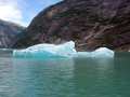 Bergs